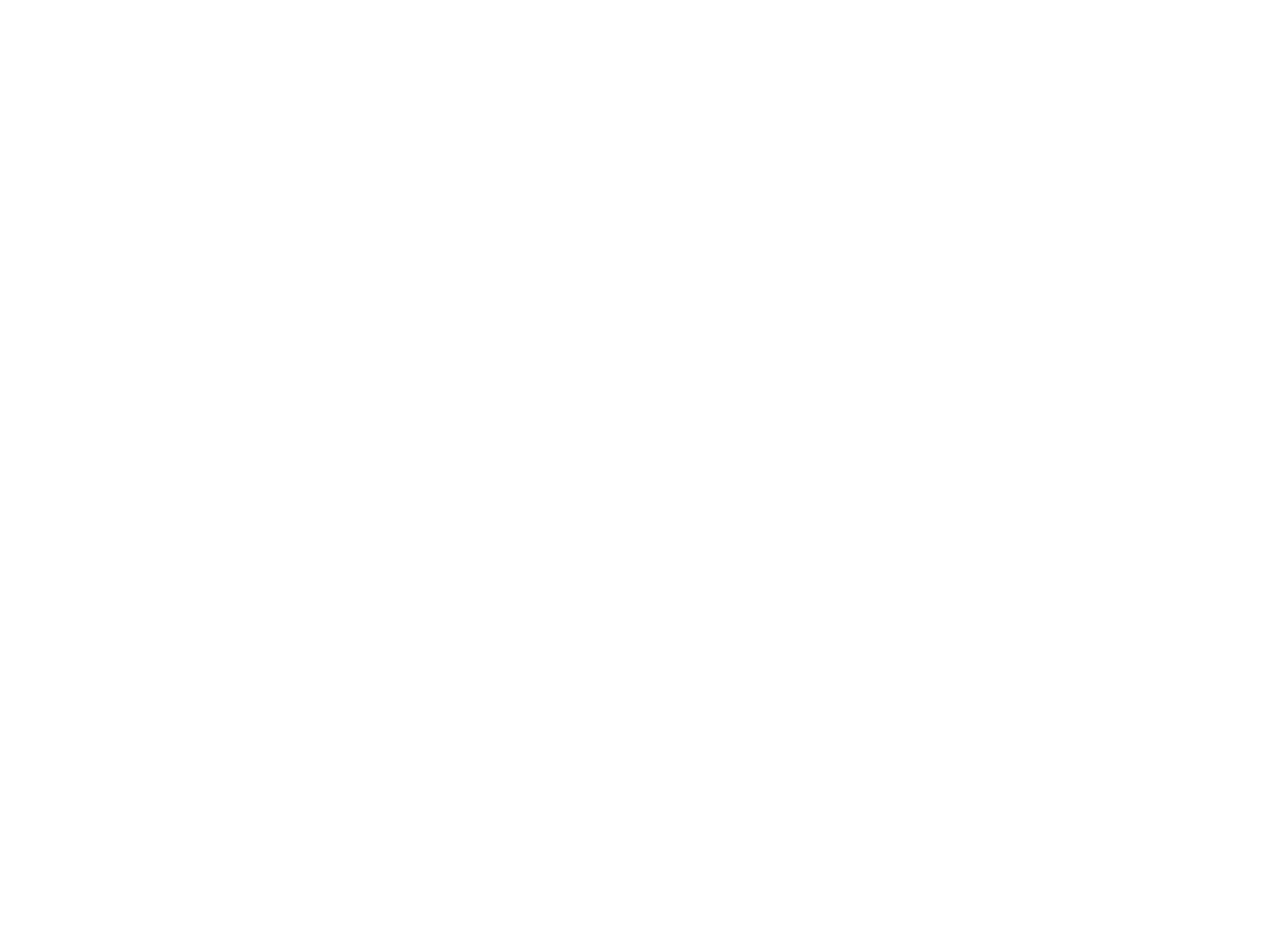 Paul The Plasterer